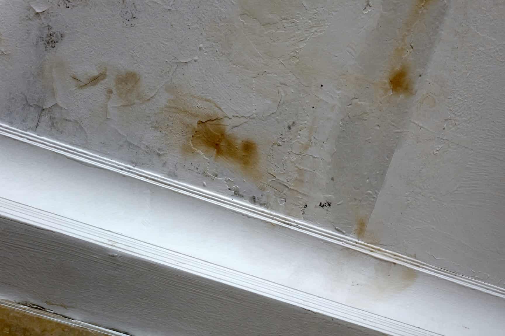 Brown water stain on a bedroom ceiling in a San Diego home before repair
